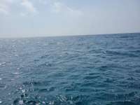Great day of scuba diving in Key Largo with Rainbow Reef on benwood wreck tropical destiny 2021 04 19 r10959 1