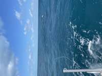 Great day of scuba diving in Key Largo with Rainbow Reef on benwood wreck tropical legend 2021 04 28 r11026 1