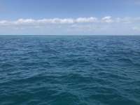 Great day of scuba diving in Key Largo with Rainbow Reef on christ statue tropical explorer 2021 04 17 r10936 1