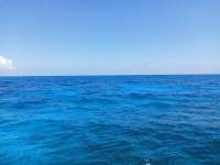 Great day of scuba diving in Key Largo with Rainbow Reef on conch ledge tropical odyssey 2021 04 30 r11042 1