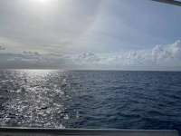 Great day of scuba diving in Key Largo with Rainbow Reef on molasses reef tropical legend 2021 04 01 r10864 1