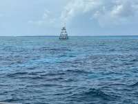 Great day of scuba diving in Key Largo with Rainbow Reef on molasses reef tropical legend 2021 04 01 r10873 1