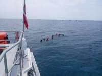 Great day of scuba diving in Key Largo with Rainbow Reef on molasses reef tropical odyssey 2021 04 22 r10984 1