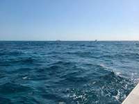 Great day of scuba diving in Key Largo with Rainbow Reef on molasses reef tropical serenity 2021 04 14 r10914 1