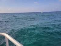 Great day of scuba diving in Key Largo with Rainbow Reef on north star tropical adventure 2021 04 24 r10994 1
