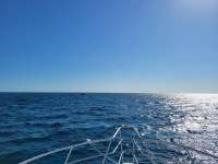 Great day of scuba diving in Key Largo with Rainbow Reef on permit ledges tropical adventure 2021 04 13 r10898 1