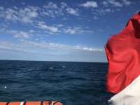 Great day of scuba diving in Key Largo with Rainbow Reef on snapper ledge tropical serenity 2021 04 27 r11019 1