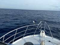 Great day of scuba diving in Key Largo with Rainbow Reef on spiegel grove tropical adventure 2021 04 01 r10862 1