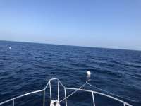 Great day of scuba diving in Key Largo with Rainbow Reef on spiegel grove tropical serenity 2021 04 26 r11010 1