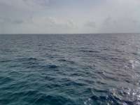 Great day of scuba diving in Key Largo with Rainbow Reef on benwood wreck tropical odyssey 2021 08 22 r11544 2