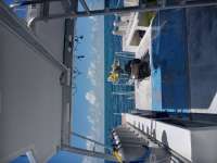 Great day of scuba diving in Key Largo with Rainbow Reef on benwood wreck tropical serenity 2021 08 21 r11540 1