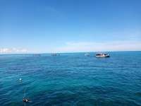 Great day of scuba diving in Key Largo with Rainbow Reef on christ statue tropical serenity 2021 08 20 r11536 1