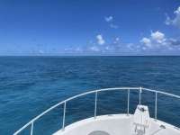 Great day of scuba diving in Key Largo with Rainbow Reef on elbow reef tropical destiny 2021 08 05 r11501 4