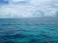 Great day of scuba diving in Key Largo with Rainbow Reef on french twist tropical odyssey 2021 08 08 r11513 3