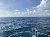 Great day of scuba diving in Key Largo with Rainbow Reef on molasses reef tropical serenity 2021 08 29 r11551 1