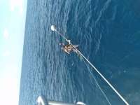 Great day of scuba diving in Key Largo with Rainbow Reef on spiegel grove tropical odyssey 2021 08 01 r11480 1