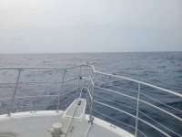 Great day of scuba diving in Key Largo with Rainbow Reef on spiegel grove tropical odyssey 2021 08 24 r11549 1