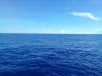 Great day of scuba diving in Key Largo with Rainbow Reef on uscgc duane tropical odyssey 2021 08 20 r11532 2