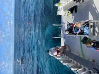 Great day of scuba diving in Key Largo with Rainbow Reef on permit ledges tropical voyager 2021 12 30 r12005 1