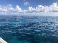 Great day of scuba diving in Key Largo with Rainbow Reef on sand island tropical odyssey 2021 12 09 r11954 1