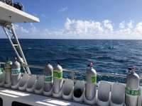 Great day of scuba diving in Key Largo with Rainbow Reef on snapper ledge tropical odyssey 2021 12 15 r11970 1