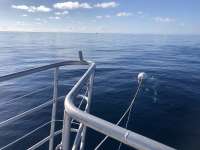 Great day of scuba diving in Key Largo with Rainbow Reef on spiegel grove tropical odyssey 2021 12 09 r11953 1