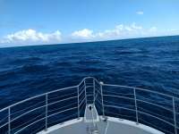 Great day of scuba diving in Key Largo with Rainbow Reef on benwood wreck tropical odyssey 2021 02 11 r10687 1
