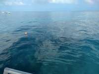 Great day of scuba diving in Key Largo with Rainbow Reef on city of washington tropical legend 2021 02 08 r10676 1