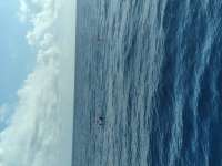 Great day of scuba diving in Key Largo with Rainbow Reef on conch wall santana 2021 02 24 r10742 1