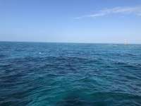 Great day of scuba diving in Key Largo with Rainbow Reef on eagle ray alley santana 2021 02 07 r10669 1