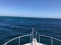 Great day of scuba diving in Key Largo with Rainbow Reef on french twist santana 2021 02 20 r10730 1