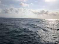 Great day of scuba diving in Key Largo with Rainbow Reef on french twist tropical legend 2021 02 13 r10694 1