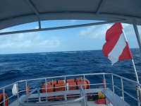 Great day of scuba diving in Key Largo with Rainbow Reef on hole in the wall tropical serenity 2021 02 13 r10698 1