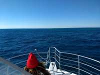 Great day of scuba diving in Key Largo with Rainbow Reef on minnow cave tropical legend 2021 02 03 r10648 1