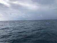 Great day of scuba diving in Key Largo with Rainbow Reef on north star tropical adventure 2021 02 12 r10691 1