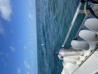 Great day of scuba diving in Key Largo with Rainbow Reef on north star tropical odyssey 2021 02 13 r10701 1