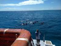 Great day of scuba diving in Key Largo with Rainbow Reef on sand island tropical odyssey 2021 02 25 r10745 1