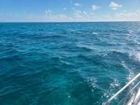 Great day of scuba diving in Key Largo with Rainbow Reef on snapper ledge tropical adventure 2021 02 26 r10749 1