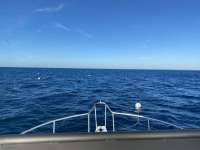 Great day of scuba diving in Key Largo with Rainbow Reef on spiegel grove santana 2021 02 04 r10649 1