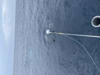 Great day of scuba diving in Key Largo with Rainbow Reef on uscgc bibb tropical adventure 2021 02 06 r10660 1