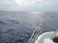 Great day of scuba diving in Key Largo with Rainbow Reef on uscgc bibb tropical odyssey 2021 02 17 r10726 1