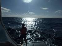 Great day of scuba diving in Key Largo with Rainbow Reef on uscgc duane tropical odyssey 2021 02 11 r10686 1