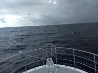 Great day of scuba diving in Key Largo with Rainbow Reef on uscgc duane tropical odyssey 2021 02 12 r10690 1