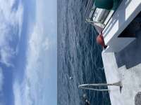Great day of scuba diving in Key Largo with Rainbow Reef on woodys tropical adventure 2021 02 16 r10718 1