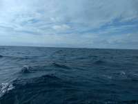 Great day of scuba diving in Key Largo with Rainbow Reef on drift molasses tropical explorer 2021 01 11 r10550 1