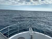 Great day of scuba diving in Key Largo with Rainbow Reef on drift molasses tropical odyssey 2021 01 07 r10527 1