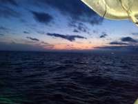 Great day of scuba diving in Key Largo with Rainbow Reef on eagle ray alley santana 2021 01 07 r10528 1