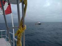 Great day of scuba diving in Key Largo with Rainbow Reef on north star tropical destiny 2021 01 14 r10559 1