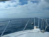 Great day of scuba diving in Key Largo with Rainbow Reef on permit ledges tropical explorer 2021 01 04 r10517 1