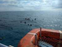 Great day of scuba diving in Key Largo with Rainbow Reef on sand island tropical legend 2021 01 13 r10555 1